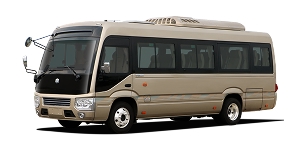 Electric Coaches